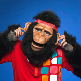 Mono Cuadrado